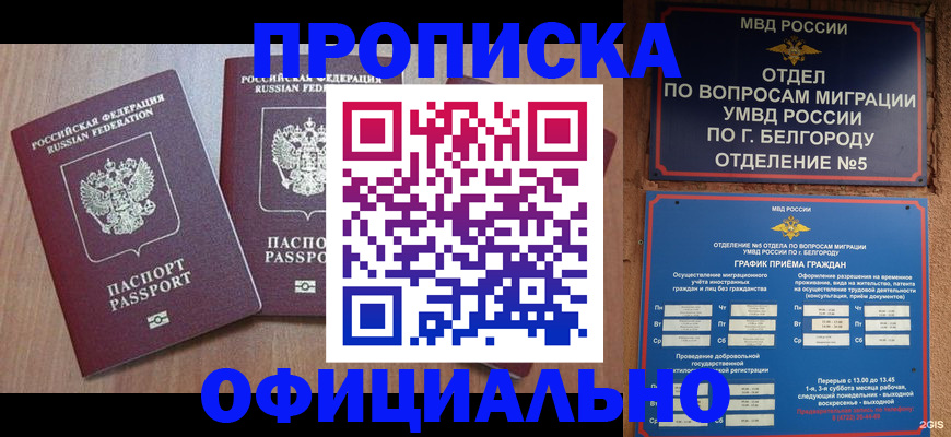 найти адрес прописки в Амурске